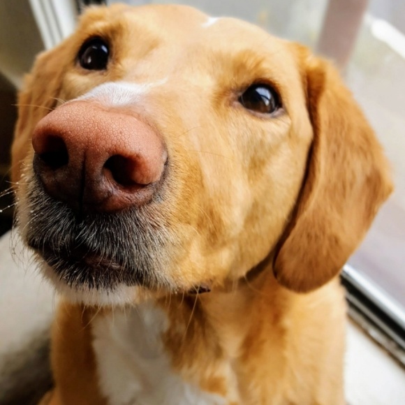 Meet your Posher, Jae - Picture 4 of 4